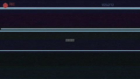 周末随拍记录 - maopian 原创视频